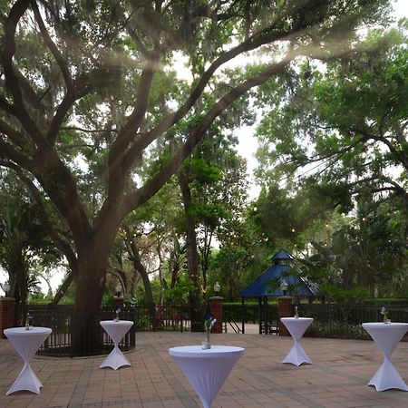 Hilton Garden Inn Tampa East Brandon Mango Exteriör bild