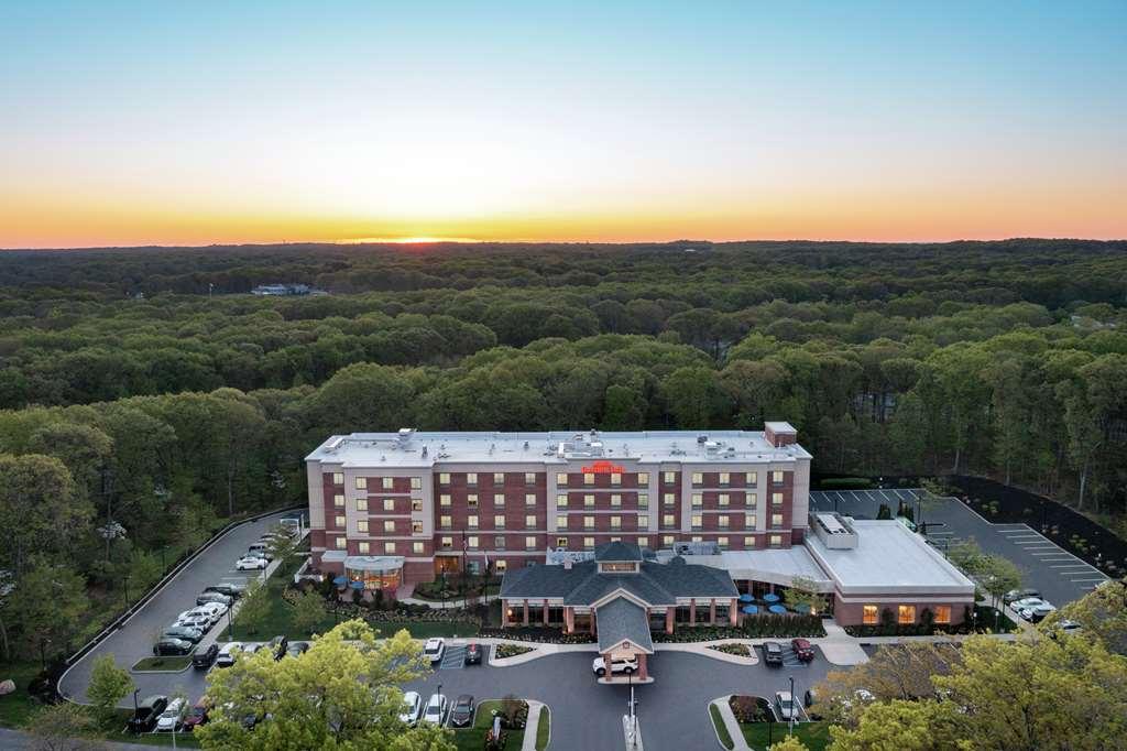 Hilton Garden Inn Tampa East Brandon Mango Exteriör bild