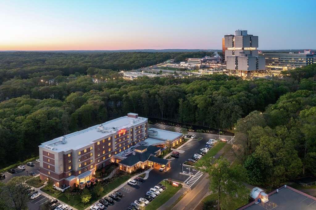 Hilton Garden Inn Tampa East Brandon Mango Exteriör bild