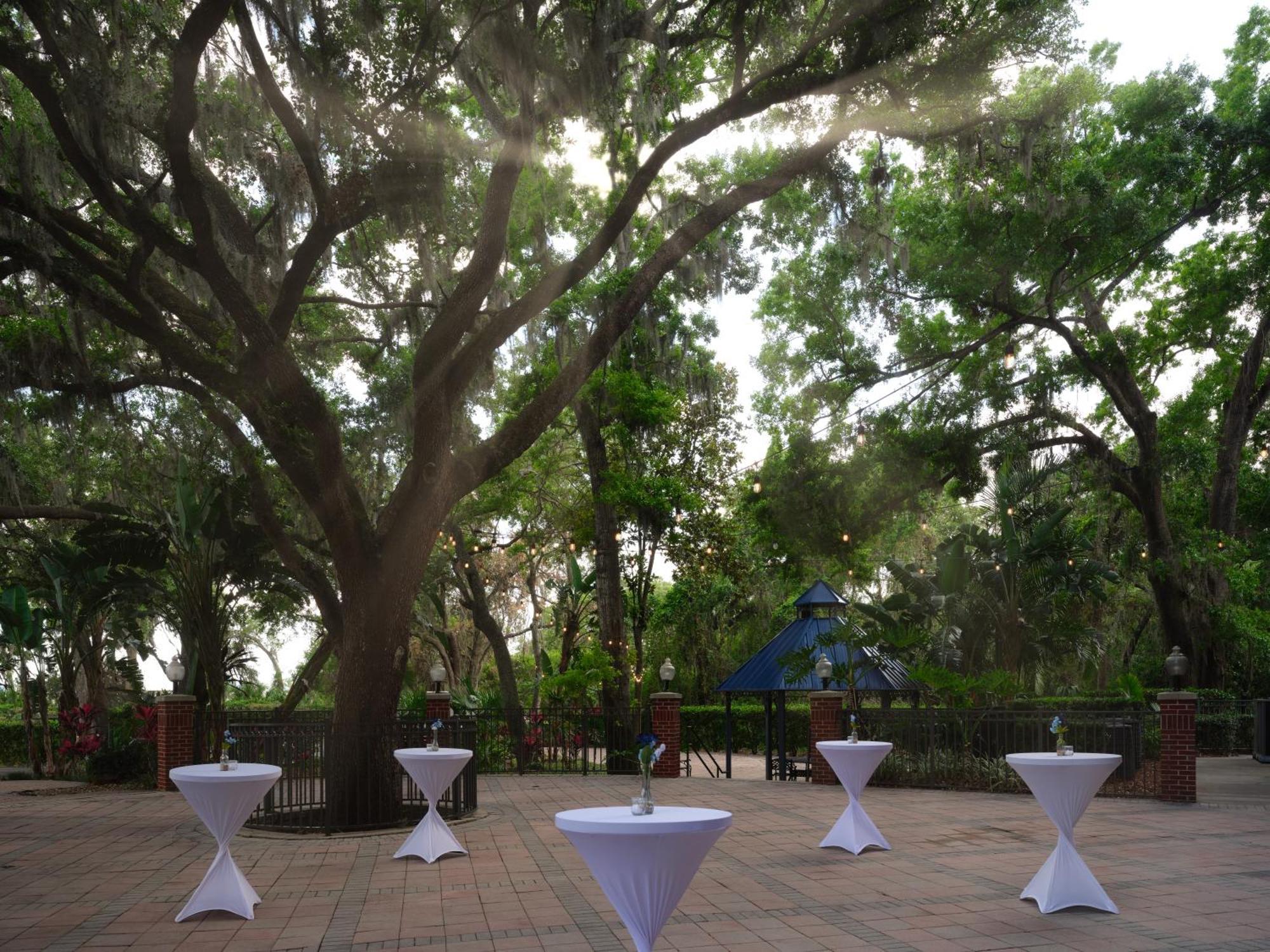 Hilton Garden Inn Tampa East Brandon Mango Exteriör bild